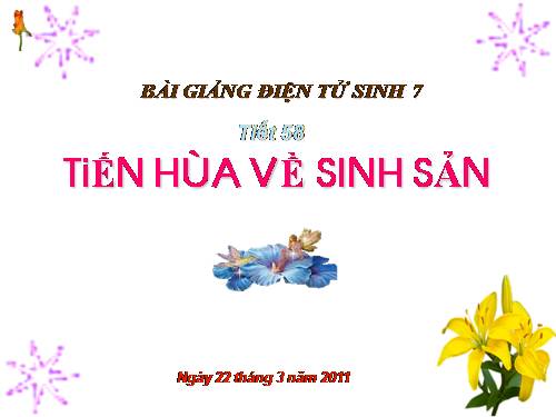 Bài 55. Tiến hoá về sinh sản