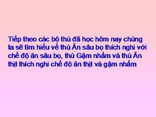 Bài 50. Đa dạng của lớp Thú: Bộ Ăn sâu bọ, bộ Gặm nhấm, bộ Ăn thịt