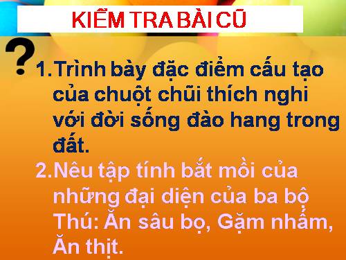 Bài 51. Đa dạng của lớp Thú: Các bộ Móng guốc và bộ Linh trưởng