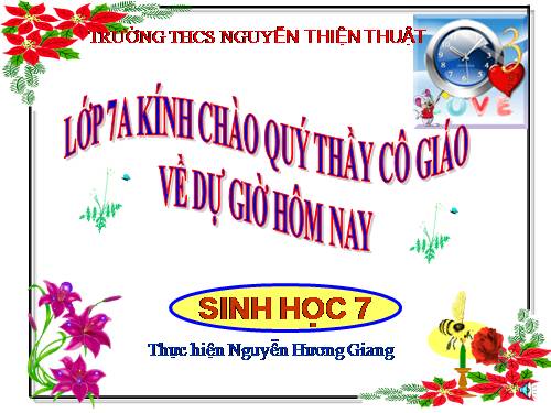 Bài 46. Thỏ