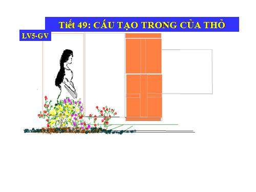 Bài 47. Cấu tạo trong của thỏ