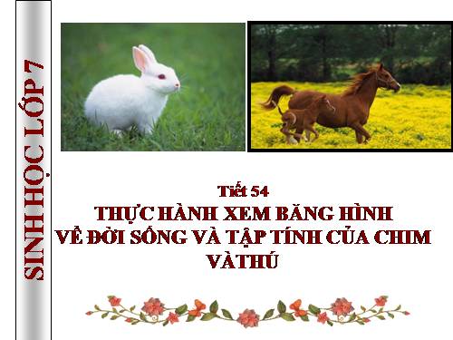 Bài 52. Thực hành: Xem băng hình về đời sống và tập tính của Thú