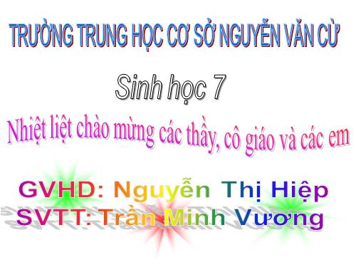 Bài 47. Cấu tạo trong của thỏ