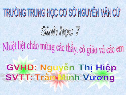 Bài 49. Đa dạng của lớp Thú: Bộ Dơi và bộ Cá voi