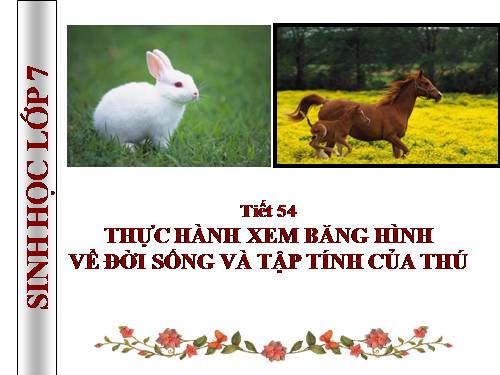 Bài 52. Thực hành: Xem băng hình về đời sống và tập tính của Thú