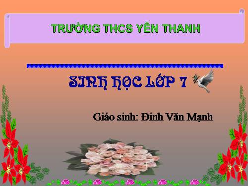 Bài 44. Đa dạng và đặc điểm chung của lớp Chim