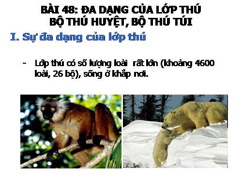 Bài 48. Đa dạng của lớp Thú: Bộ Thú huyệt, bộ Thú túi