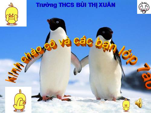 Bài 45. Thực hành: Xem băng hình về đời sống và tập tính của chim