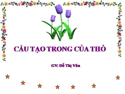 Bài 47. Cấu tạo trong của thỏ