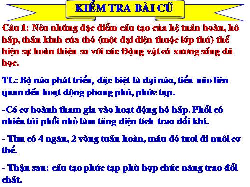 Bài 48. Đa dạng của lớp Thú: Bộ Thú huyệt, bộ Thú túi