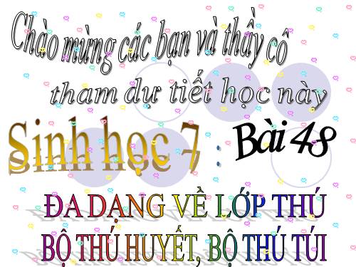 Bài 48. Đa dạng của lớp Thú: Bộ Thú huyệt, bộ Thú túi