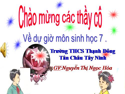 Bài 35. Ếch đồng