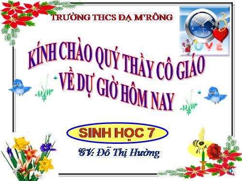 Bài 46. Thỏ