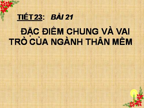 Bài 21. Đặc điểm chung và vai trò của ngành Thân mềm