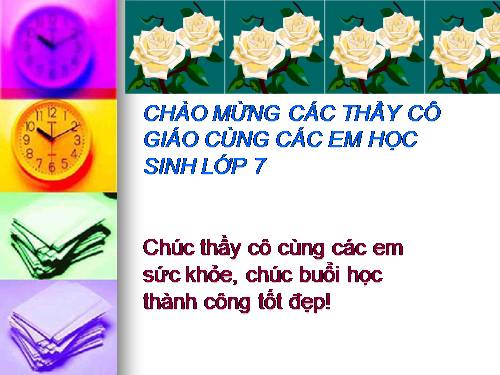 Bài 50. Đa dạng của lớp Thú: Bộ Ăn sâu bọ, bộ Gặm nhấm, bộ Ăn thịt