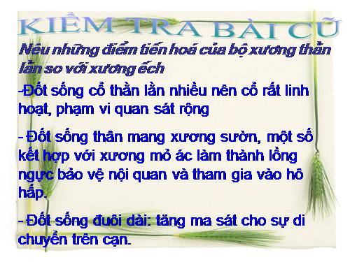 Bài 40. Đa dạng và đặc điểm chung của lớp Bò sát