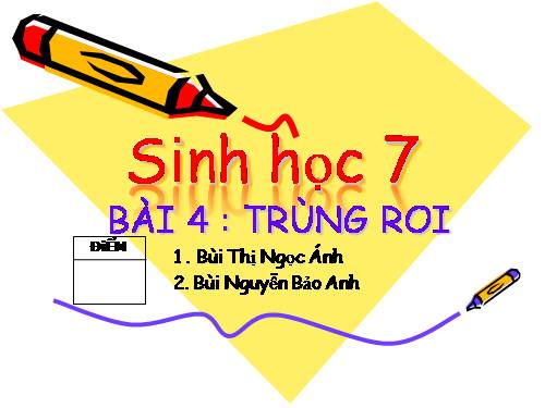 Bài 4. Trùng roi