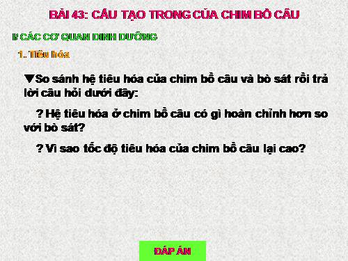 Bài 43. Cấu tạo trong của chim bồ câu