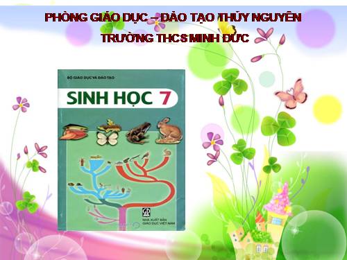 Bài 39. Cấu tạo trong của thằn lằn