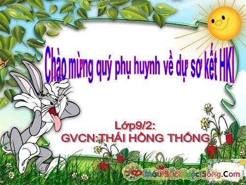 SƠ KẾT HKI LỚP 9