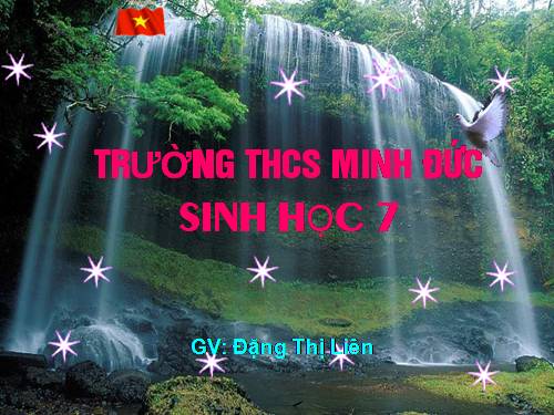 Bài 36. Thực hành: Quan sát cấu tạo trong của ếch đồng trên mẫu mổ