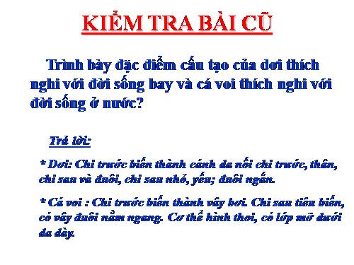 Bài 50. Đa dạng của lớp Thú: Bộ Ăn sâu bọ, bộ Gặm nhấm, bộ Ăn thịt