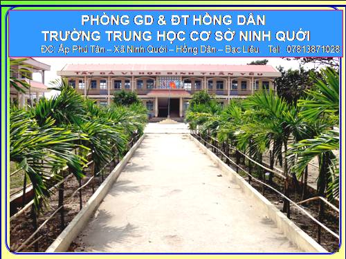 Bài 23. Thực hành: Mổ và quan sát tôm sông