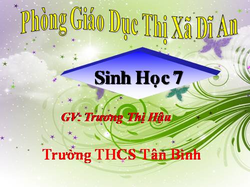 Bài 17. Một số giun đốt khác và đặc điểm chung của ngành Giun đốt