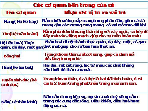 Bài 33. Cấu tạo trong của cá chép