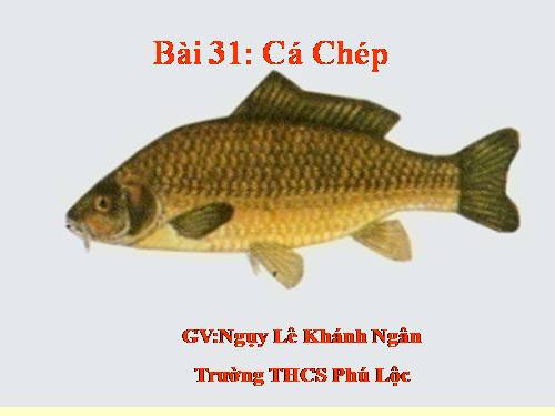 Bài 31. Cá chép