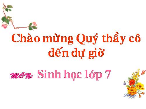 Bài 25. Nhện và sự đa dạng của lớp Hình nhện