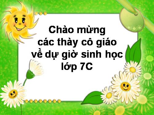 Bài 24. Đa dạng và vai trò của lớp Giáp xác