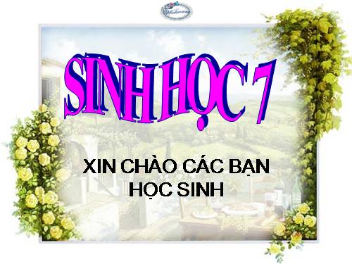 Bài 27. Đa dạng và đặc điểm chung của lớp Sâu bọ