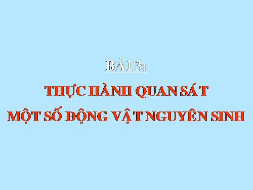 Bài 3. Thực hành: Quan sát một số động vật nguyên sinh