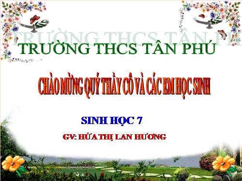 Bài 27. Đa dạng và đặc điểm chung của lớp Sâu bọ