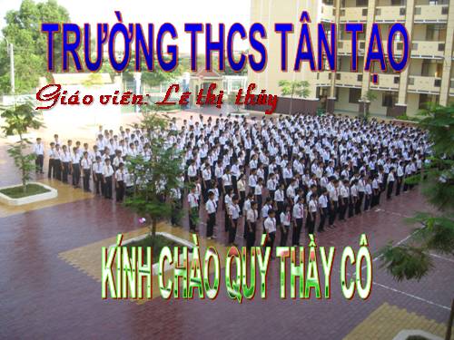 Bài 36. Thực hành: Quan sát cấu tạo trong của ếch đồng trên mẫu mổ