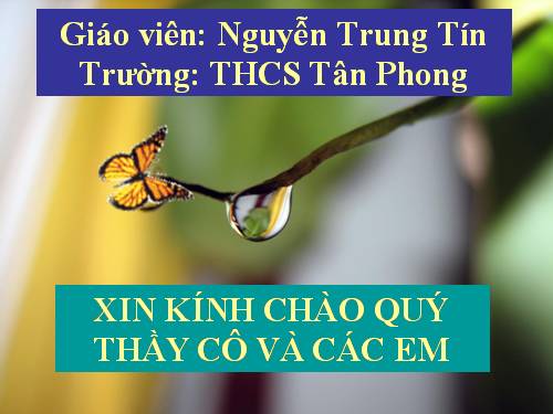 Bài 24. Đa dạng và vai trò của lớp Giáp xác