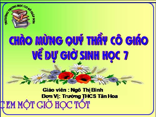 Bài 23. Thực hành: Mổ và quan sát tôm sông