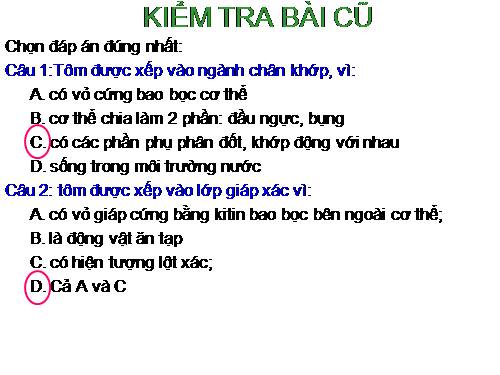 Bài 24. Đa dạng và vai trò của lớp Giáp xác