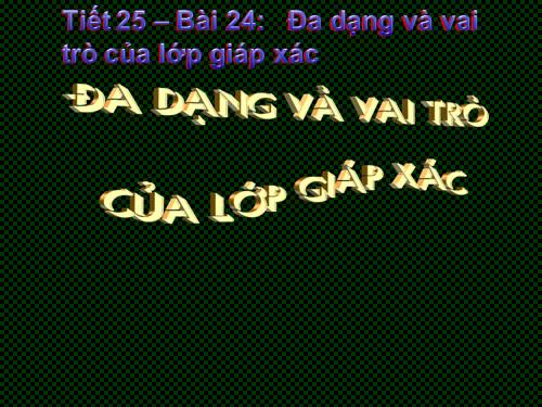 Bài 24. Đa dạng và vai trò của lớp Giáp xác