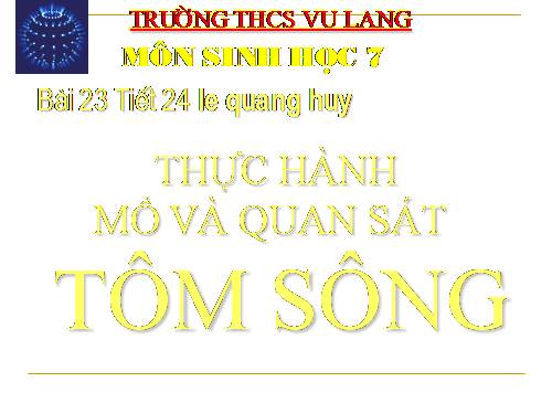 Bài 23. Thực hành: Mổ và quan sát tôm sông