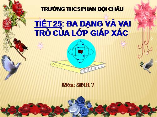 Bài 24. Đa dạng và vai trò của lớp Giáp xác