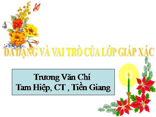 Bài 24. Đa dạng và vai trò của lớp Giáp xác