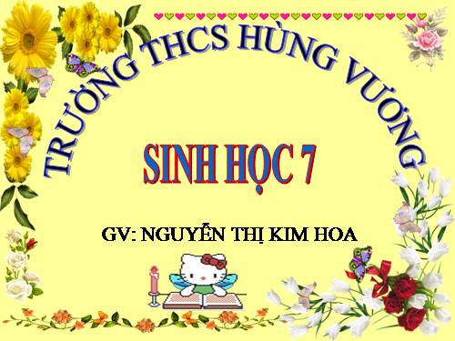 Bài 21. Đặc điểm chung và vai trò của ngành Thân mềm