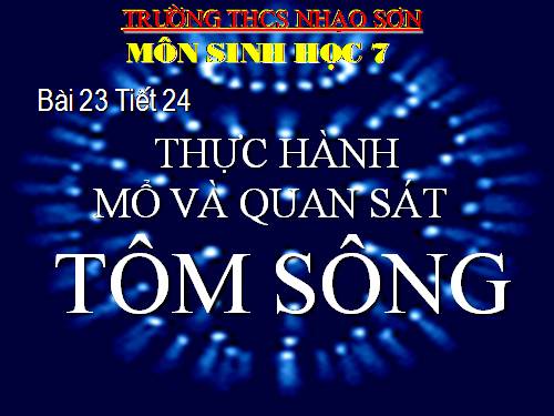 Bài 23. Thực hành: Mổ và quan sát tôm sông