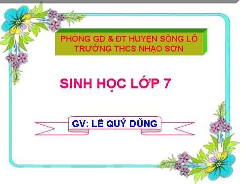 Bài 21. Đặc điểm chung và vai trò của ngành Thân mềm