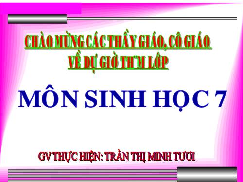 Bài 21. Đặc điểm chung và vai trò của ngành Thân mềm