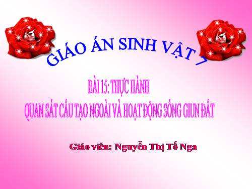 Bài 16. Thực hành: Mổ và quan sát giun đất