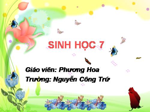 Bài 20. Thực hành: Quan sát một số thân mềm