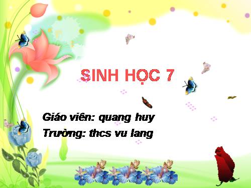 Bài 20. Thực hành: Quan sát một số thân mềm